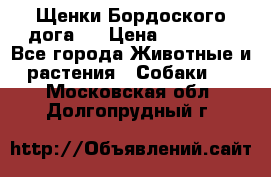 Щенки Бордоского дога.  › Цена ­ 30 000 - Все города Животные и растения » Собаки   . Московская обл.,Долгопрудный г.